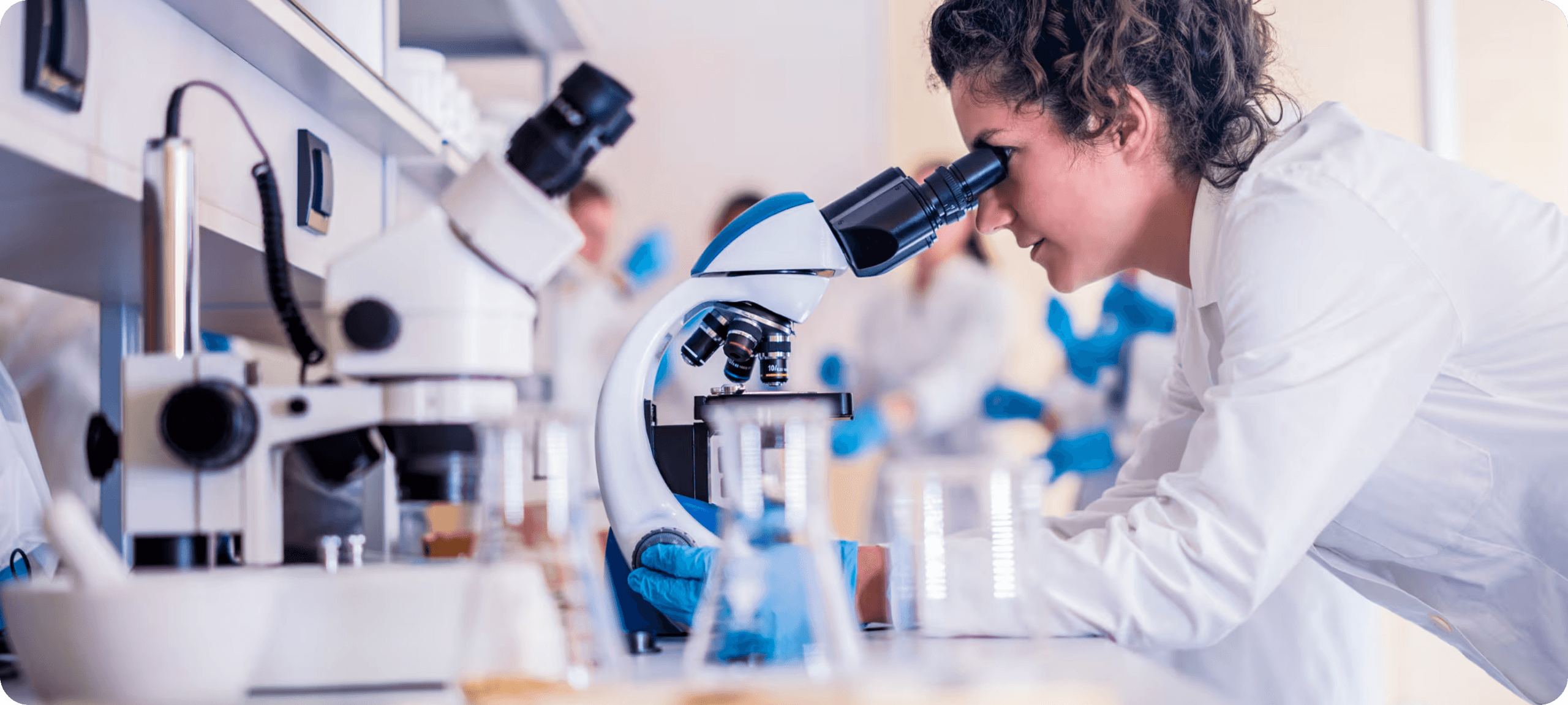 International Visiting Fellowship