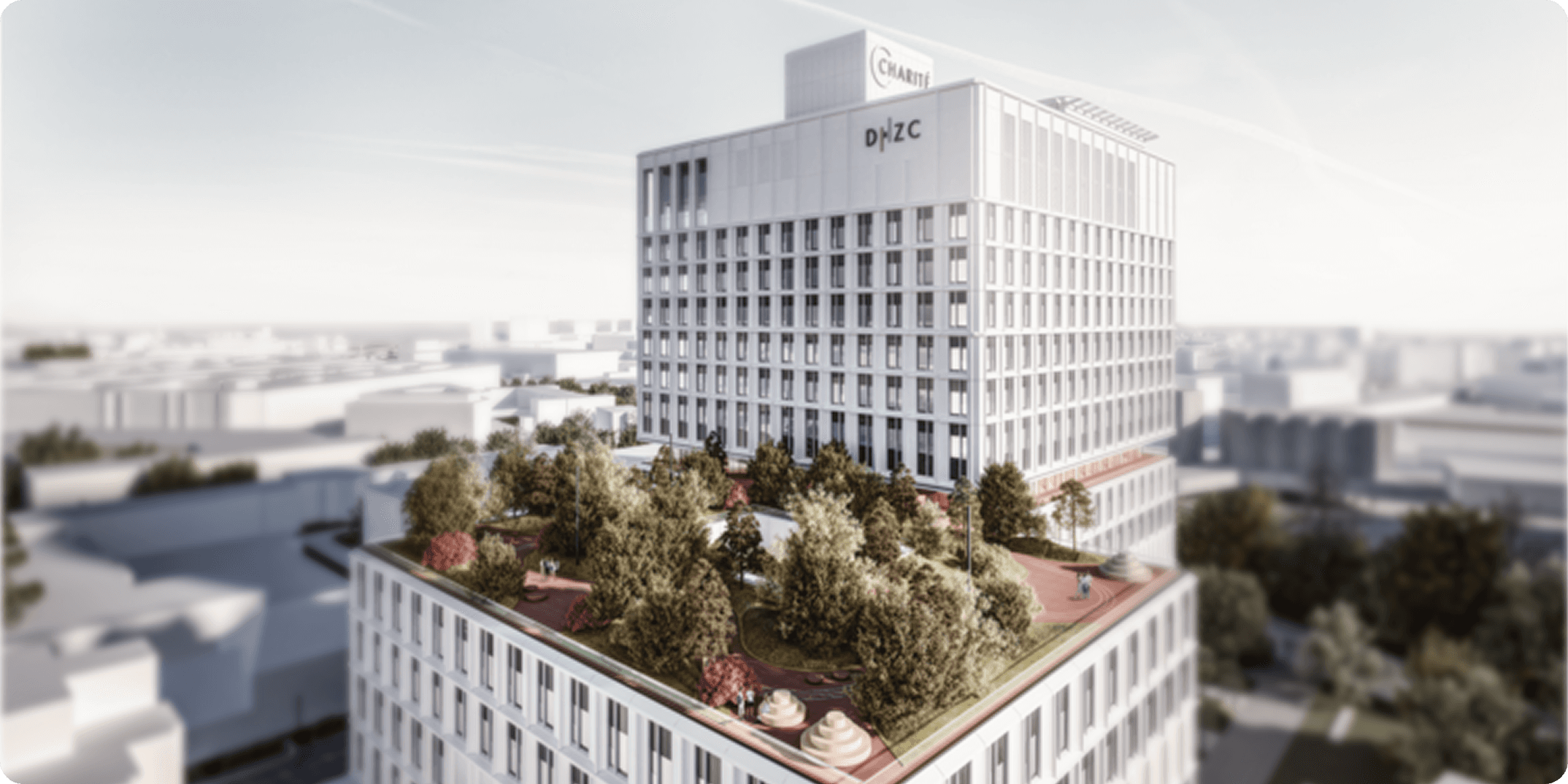 <p>Das <strong>DHZC</strong></p>
